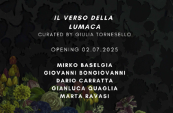 Opening il verso della Lumaca